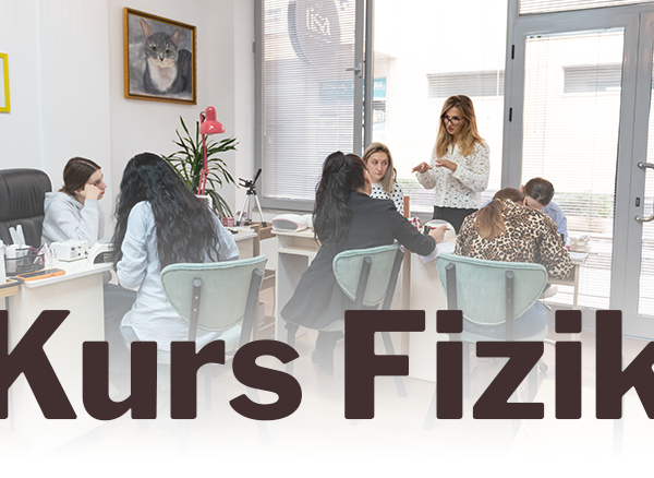 Kurs Fizik